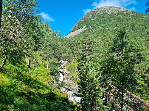 Opp Mørkedalen. Rognen i bakgrunnen