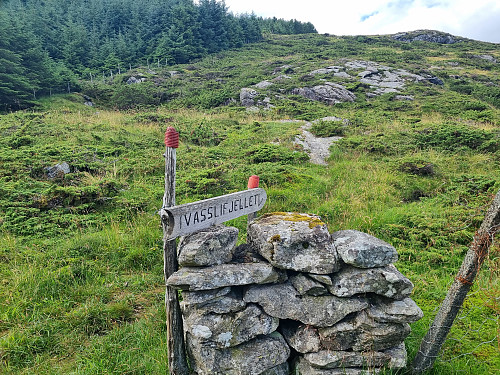 Ruta opp til Midtre Rekstafjellet. Der er det merka Vasslifjellet. 