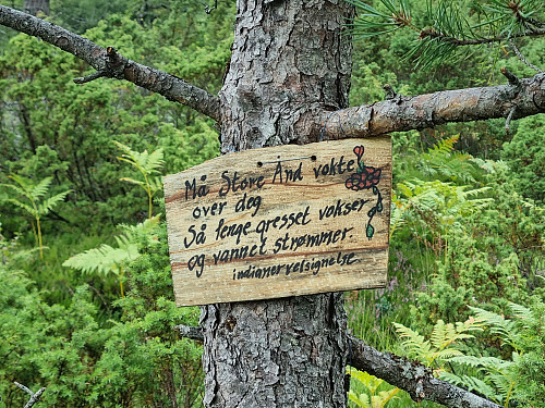 Fine visdomsord langs stien
