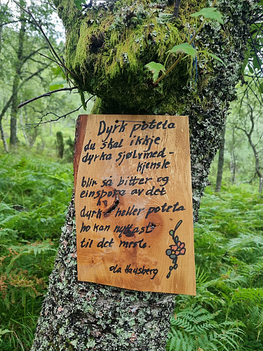Fleire visdomsord