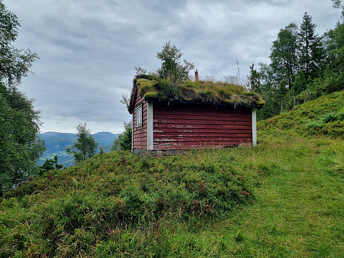 Hamnnessætra