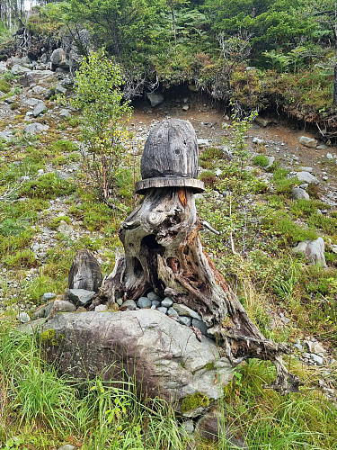 Flott tillaga langs traktorvegen 