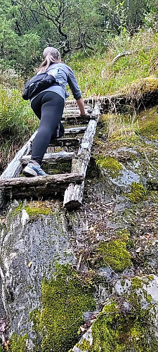 denne sto midt på berget