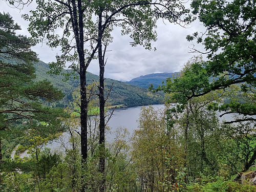 Utsikt mot Dalsfjorden
