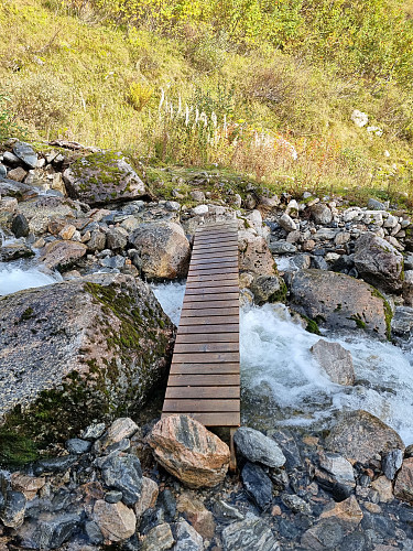 Denne såg eg så vidt. Måtte gå litt opp for å sjå den. 