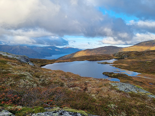 Monstjørni