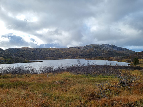 Hesjadalsvatnet sett frå Hesjadalen. Fjellet Hest i bakgrunnen