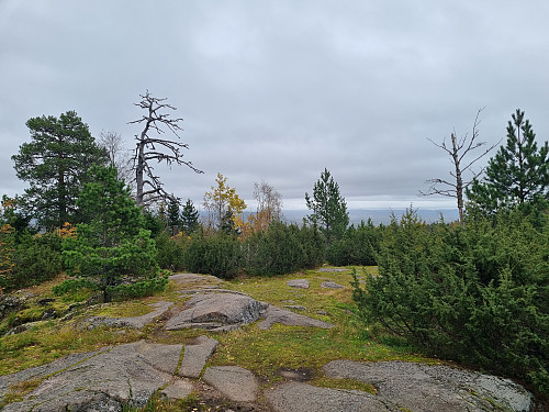 Utsikt frå Djupedalsåsen