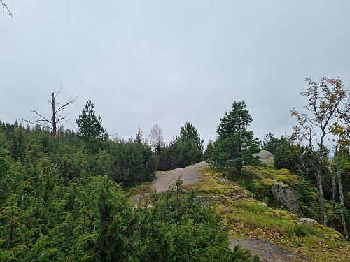 Utsikt frå Djupedalsåsen