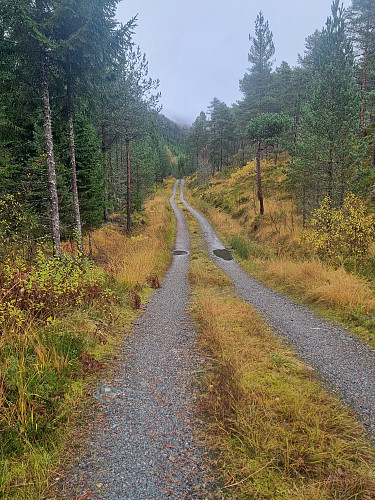 Greit å gå her på ein regnværsdag