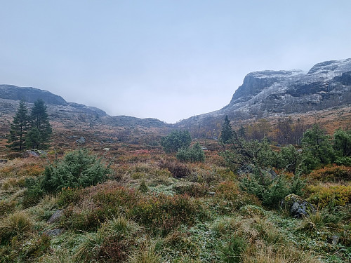 Hamrestøle. Utsikt opp Hydalen