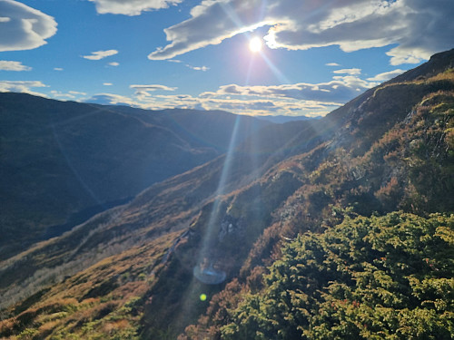 Solskinn var godt i dag i vinden