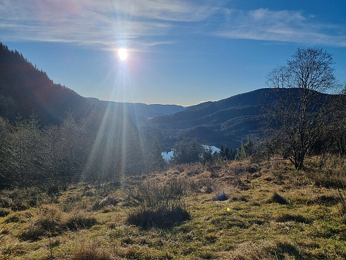 Solskinn ved Storemyra