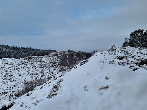 Utsikt frå Ulsetvarden