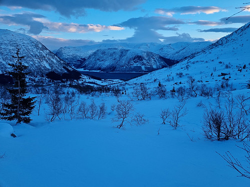 Frå Torsbotnen