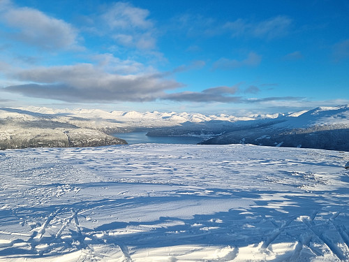 Fløtravarden