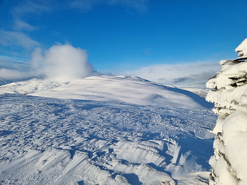 Fløtravarden. Utsikt mot Snøfjellet