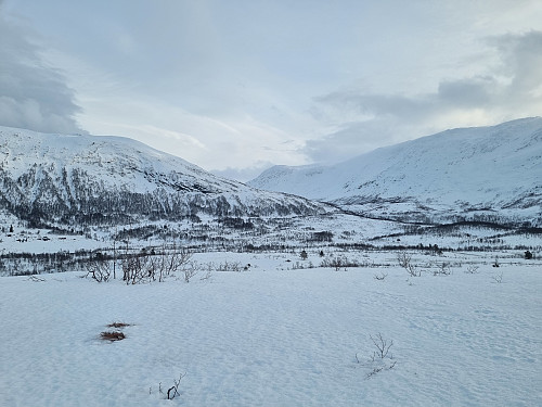 Utsikt frå Storehaugen