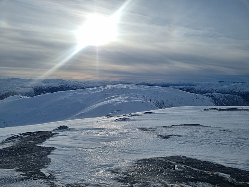 Frå Steinheia