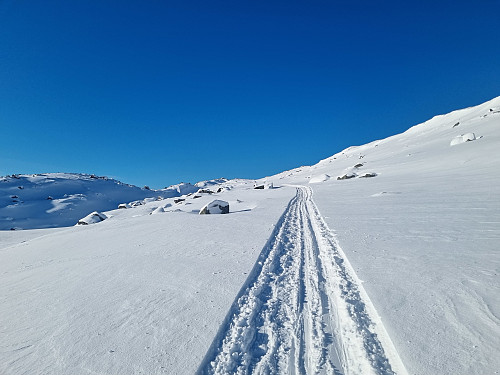 Flotte skispor