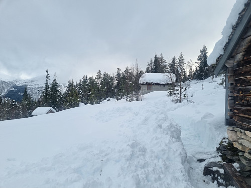 Støfringsstøylen