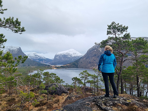 Rett ved toppen av Skjerveholten. 