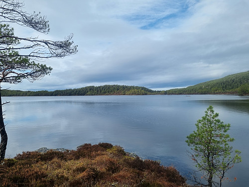 Lindelivatnet