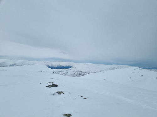 Utsikt frå Ørnafjellet mot Venevassegga