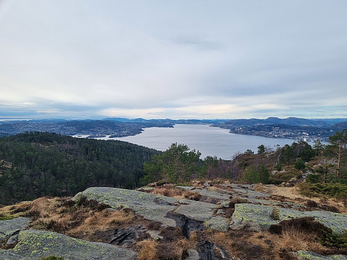Utsikt frå Damsgårdsfjellet