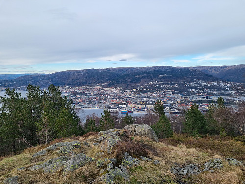 Utsikt frå Damsgårdsfjellet