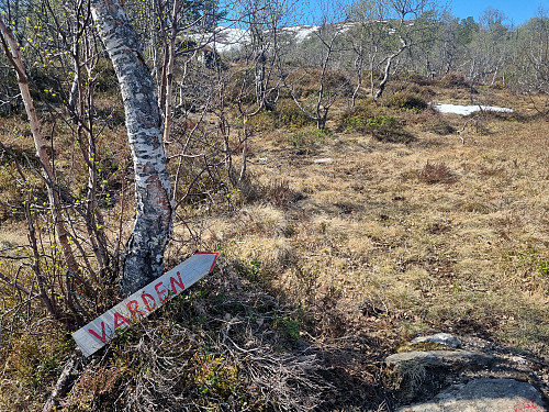 Stistart frå vegen opp mot Bakkestølen. 