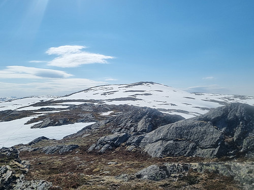 vegen opp frå Varden til Kvamsfjellet