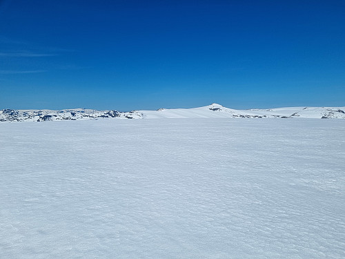 Utsikt mot Snønipa frå toppen sørøst for Jostebotnen