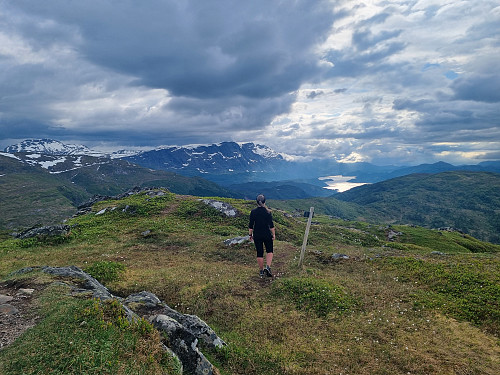 Utsikt mot Førdefjorden frå Fureviknipa