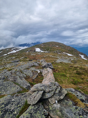 Fauskevarden sett frå Skinnbroka