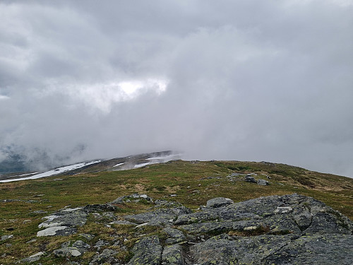 Tåke på Fauskevarden