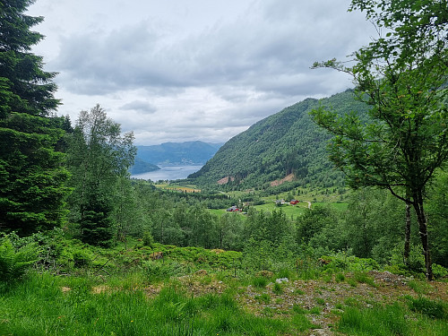 Utsikt frå Gapahuken som er på vegen opp mot Erdalsstølen