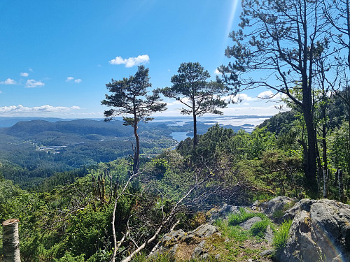 Utsikt frå Vetla Lysehorn