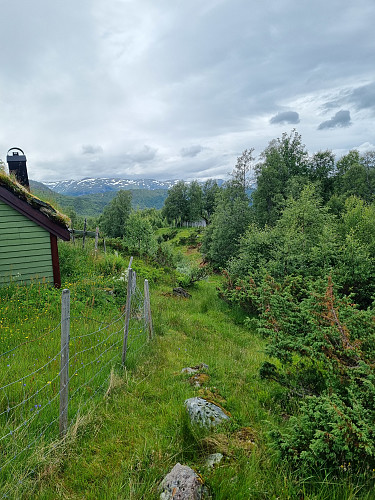 Årnesstølen