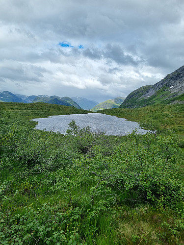Langevatna