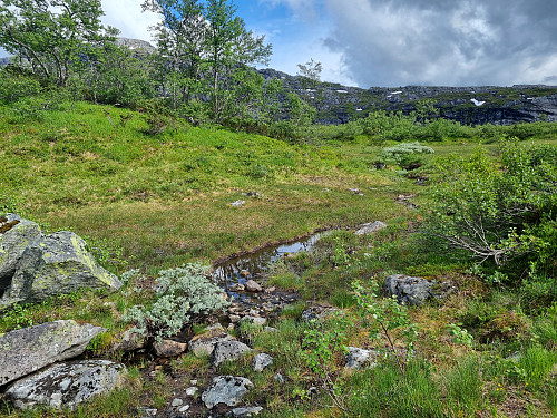 Stien går mot høgre. 