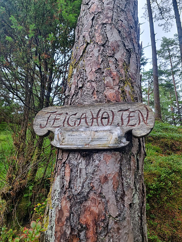 Teigaholten