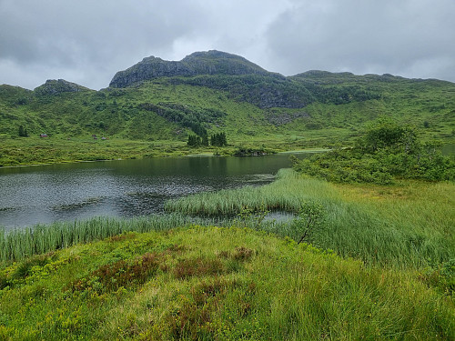 Kvamsstølsvatnet