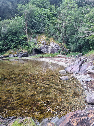 Skutevika