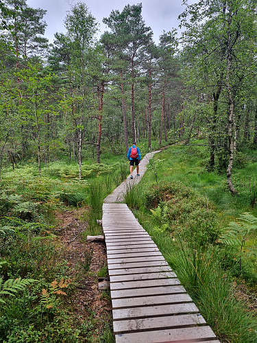 Lett å gå langs stiane 