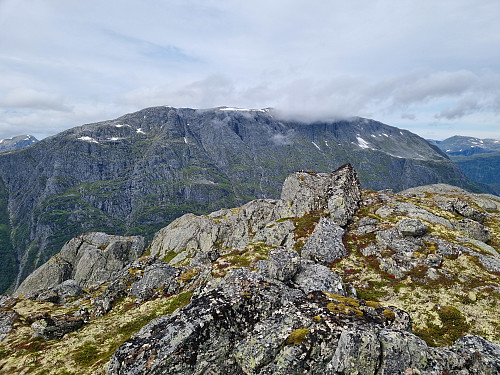 Utsikt frå Ytstekupa mot Skjorta
