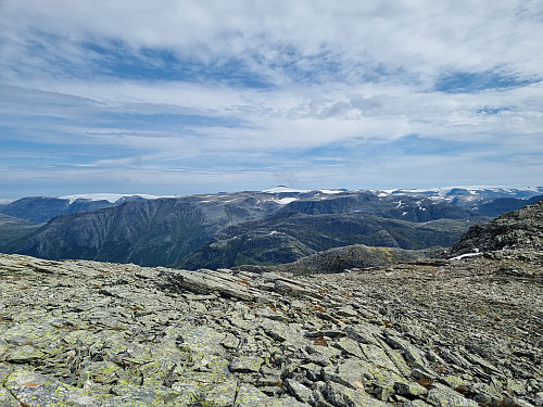 Utsikt frå Daurmål mot Snønipa