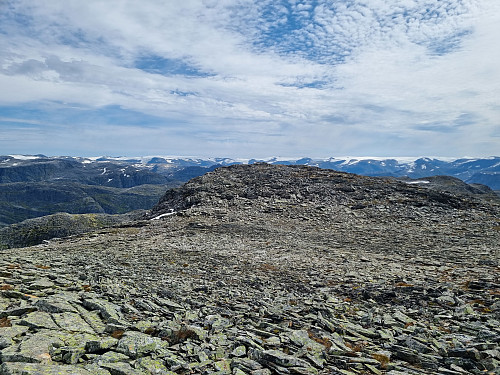 Utsikt frå Daurmål 
