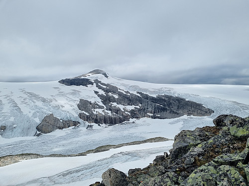 Snønipa og Haugabreen