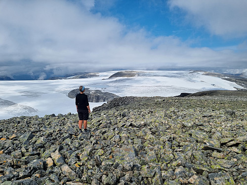 Myklebustbreen sett frå Kvannefjellet Nord